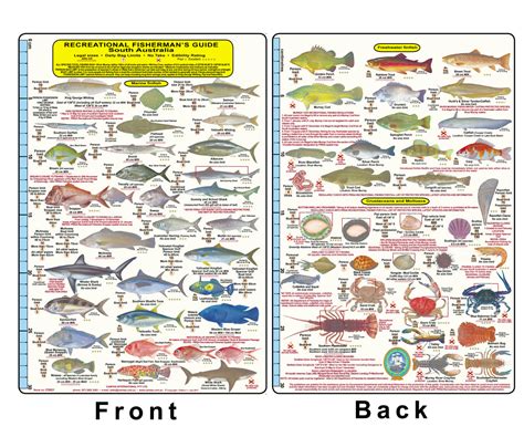 Fishermans Fish Identification Card (Slate) - South Australia / FG021L – Camtas Marine Maps