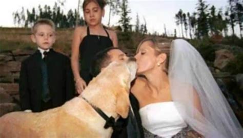 Craziest Wedding Photo Fails You'll Ever See