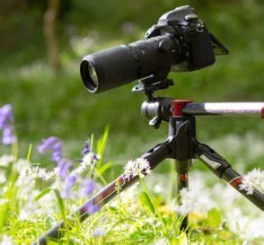 Best Tripods for Wildlife Photography in 2021 [Latest Reviews] Camerakool