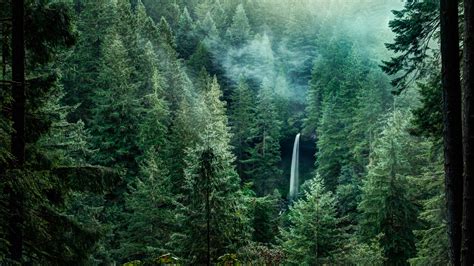 Silver Falls State Park – Park Review | Condé Nast Traveler