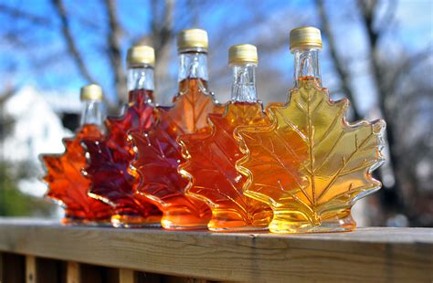 A guide to choosing the right maple syrup - Cottage Life