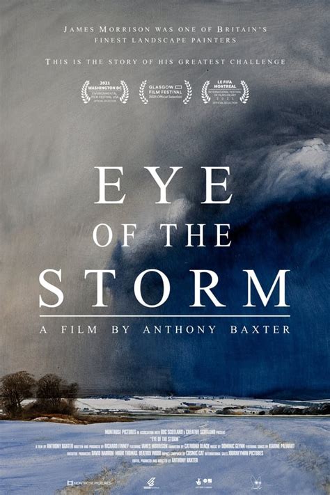 Eye of the Storm (2021) — The Movie Database (TMDb)