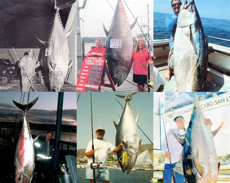 World Record Tuna | Outdoor Life