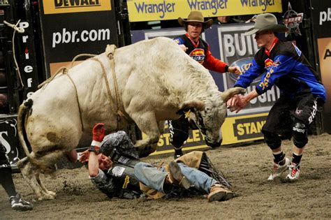 bull, Riding, Bullrider, Rodeo, Western, Cowboy, Extreme, Cow, 24 ...