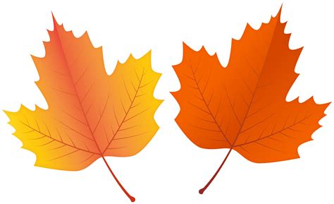 Orange Fall Leaf Clip Art