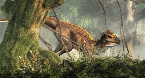 Pachycephalosaurus - A-Z Animals