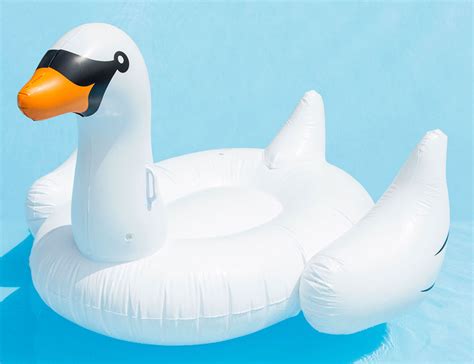 Inflatable Swan Pool Float » Gadget Flow