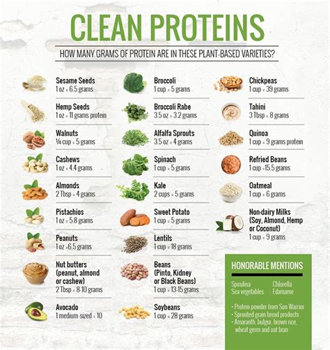 CHART CLEAN PROTEINS WITH THE AMOUNT OF PROTEIN GRAMS IN THEM | Clean ...