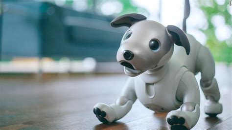 Sony unleashes the cuteness with new robot dog