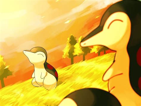 Pokemon Cyndaquil Wallpapers - Top Free Pokemon Cyndaquil Backgrounds - WallpaperAccess