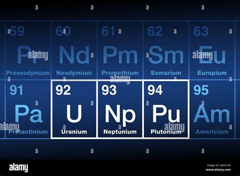 Uranium, Neptunium and Plutonium on the periodic table. Radioactive ...