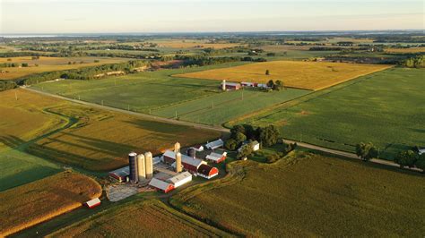 Aerial view of farm, red barns, corn field in September. Harvest season. Rural landscape ...