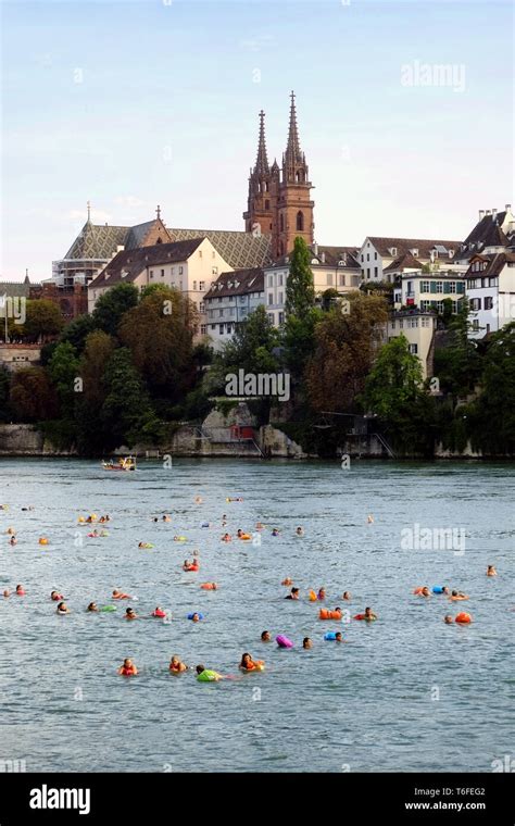 Rhine swimming in Basel Stock Photo - Alamy