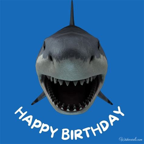 Happy Birthday Shark Meme