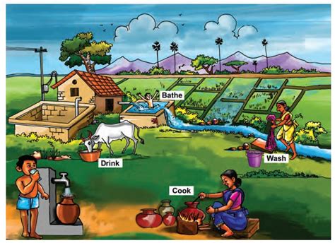 Different Uses Of Water In Our Daily Life