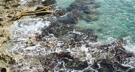 Free Images : sea, coast, water, outdoor, rock, river, stream, tropical, rapid, coral, reef ...