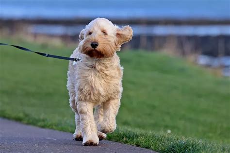 Northern Ireland weather warning issued ahead of Christmas - Belfast Live