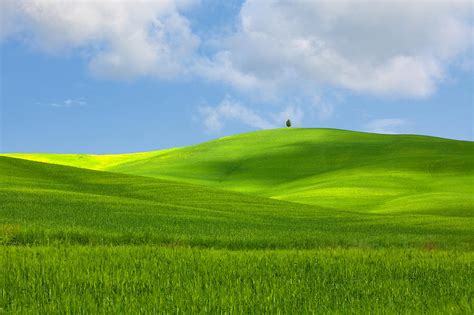 rolling landscape in Tuscany Photograph by Ursula Alter - Pixels