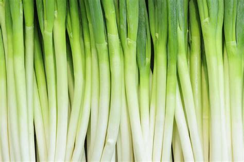 All About Green Onions - How to Pick, Prepare & Store | Produce for Kids