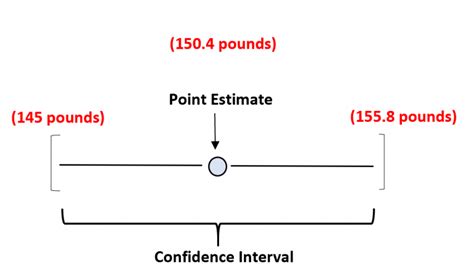 What is a Point Estimate in Statistics?