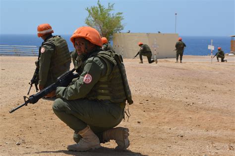 U.S. Soldiers work with Fijian forces to form Peace-keeping Battalion ...