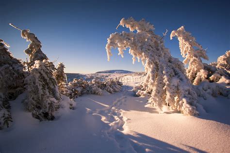 I Have Found The Magic Of Winter In The Polish Mountains | Bored Panda