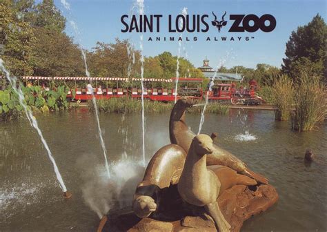 St. Louis Zoological Park - All Parking and Information Here