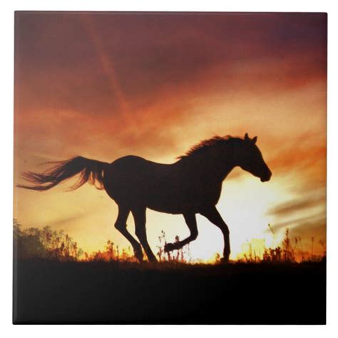 Horse and Sunset Art Tile | Zazzle | Sunset art, Colorful horse painting, Horses