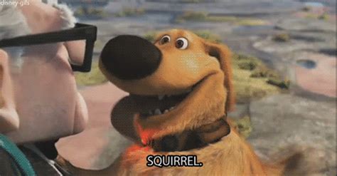 Squirrel Up Movie Quotes. QuotesGram