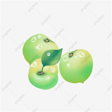 Crisp Plum Fruit PNG, Vector, PSD, and Clipart With Transparent Background for Free Download ...