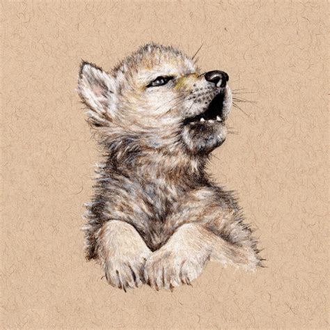 Mexican Gray Wolf Pup (First Edition) – Rambillo Marketplace