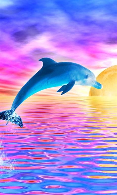 dolphin with rainbow - Google Search | Dolphin art, Dolphins, Painting