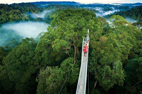 MONTEVERDE CLOUD FOREST RESERVE - Ecogetaways