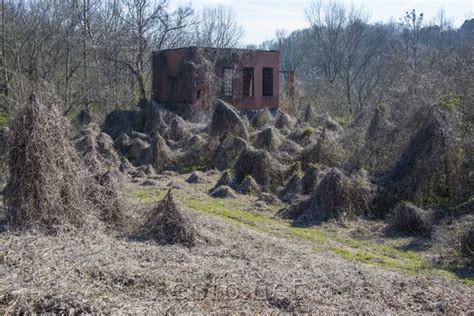 Encyclopedia of Forlorn Places | Ramseur, North Carolina