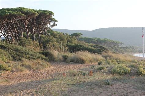 Top 5 Beaches in Maremma, Tuscany - NextStop-Italy