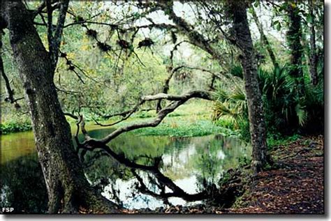 Rock Springs Run State Reserve | Florida State Parks