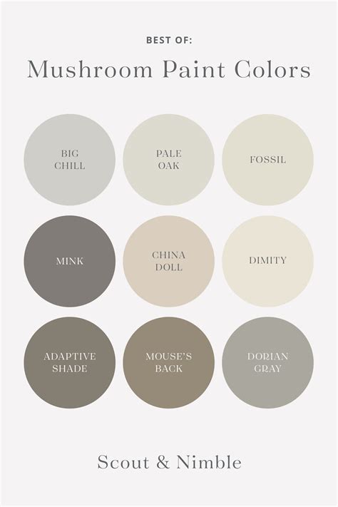 Marvelous Mushroom | The Color Trend We Love — Scout & Nimble in 2020 | Mushroom paint, Warm ...