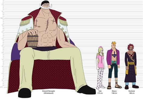 Jaya Arc character lineup : r/OnePiece