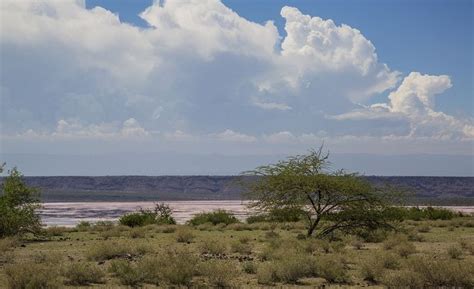 Lake Magadi, Kenya’s Pink Lake | Amusing Planet