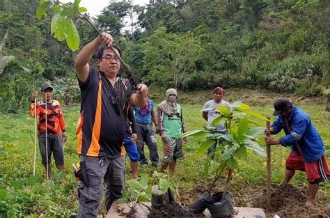 New cacao farming technique turns an all-year round harvest | DOSTv - Science for the People