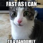 cat running meme - 1K Smiles