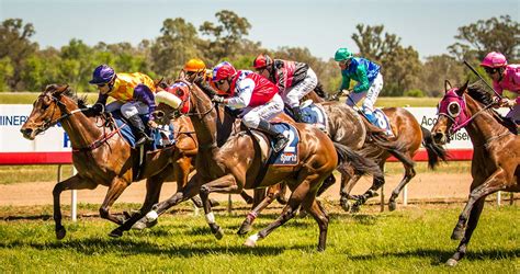 Forbes Jockey Club - Racing NSW Country