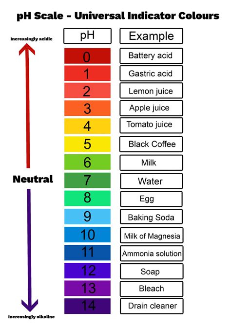 What is the pH Scale?