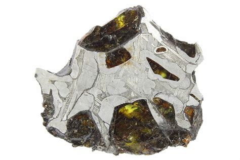 1.2" Pallasite Meteorite (7.4 g) Slice - NWA 15428 (#266444) For Sale - FossilEra.com