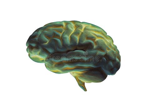 Abstract Painting of the Human Brain. Stock Illustration - Illustration ...