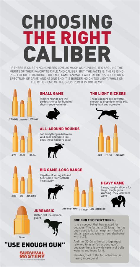 Survival Smarts: Choosing The Right Caliber For Hunting Infographic