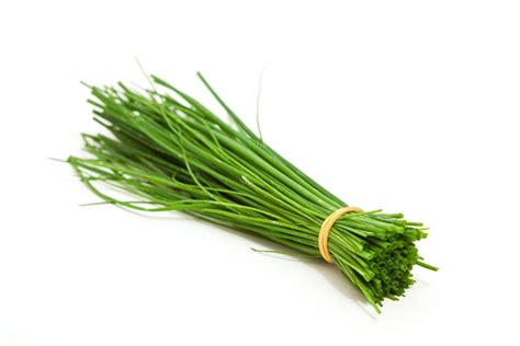 Curious About Chives? Here's What You Need to Know | What are chives, Herbs, Garlic allergy