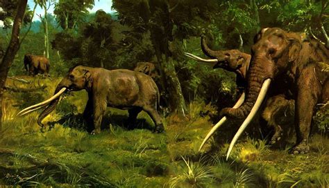 Mastodons and related early elephants