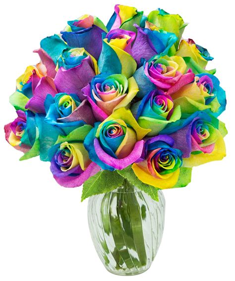 KaBloom Mother's Day Collection: Bouquet of 18 Fresh Rainbow Roses ...