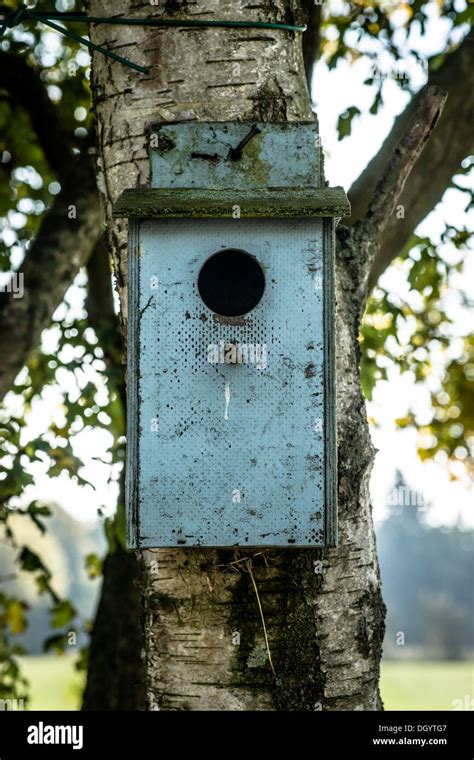 Old bird house hanging on a tree Stock Photo - Alamy